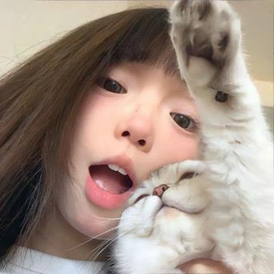 百合熊风暴